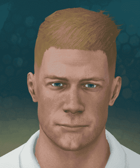 David Warner DBC17.PNG