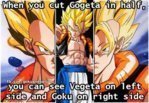 gogeta.jpg