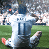 bale.png