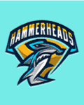 Perth Hammerheads.png