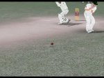 dravid shot 2.JPG