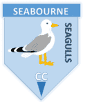 Capturebadge 2.PNG