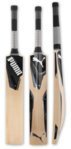 Puma evoPOWER 2 SE Black Edition-cricket-bat.jpg