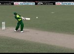 Afridi smashes second ball of the WC for six.jpg