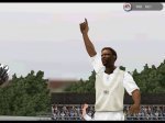 wicketcelebrations.jpg