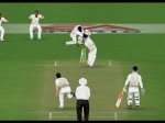 3rdwicket2.jpg