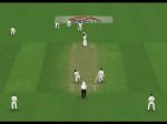 8wicketshot.jpg