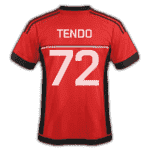 tendo1.png