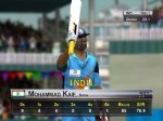 kaif 50.JPG