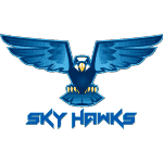 SKY HAWKS.png