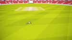 Cricket_19_MAY DAY STADIUM_stadium.png