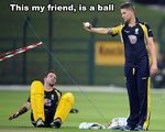 This-My-Friend-Is-A-Ball-Funny-Cricket-Meme-Image.jpg