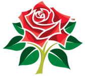 lancashire-cricket-club-roses-logo.png