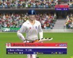 strauss wicket.jpg