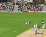 vaughan wicket.jpg