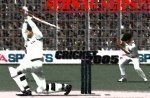 Sehwag Edges Out (edited2).jpg