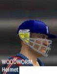 woodworm helmet.jpg