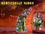 herschelle_gibbs01.jpg