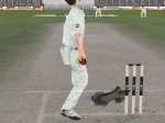 nikestumps.jpg