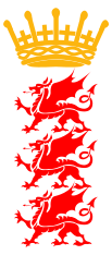 WalesMinorCountiesCCLogo.svg.png