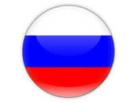 Flag Round Icon.png