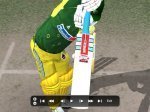 Gray-Nicolls Warrior Back.jpg