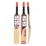 SS Soft Pro Kashmir Willow Cricket Bat Standard Size-600x600.jpg