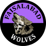 Faisalabad Wolves.png