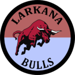 Larkana Bulls.png