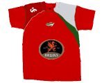 cricket wales front logos.jpg