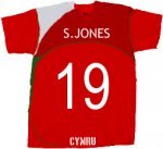 cricket wales back logos.jpg