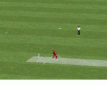 Cricket_2002_screenshot_2.gif