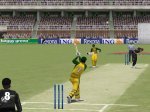cricket2004.jpg