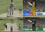 cricket2004.png