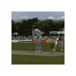 cricket_pc(original) 00629.png