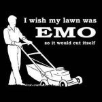 emo.lawn.jpg