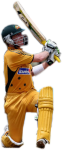 Brad Haddin.png