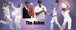 ASHES2009.png