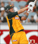 Shane Watson.png