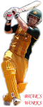 David Warner copy.png