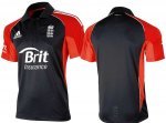 adidas-odi-shirt-2011.jpg