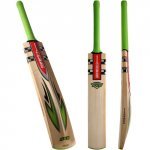 ImageLibrary_Gray Nicolls_bats_2011 evo.jpg