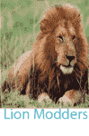 Lion  Modders.png
