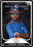 sehwag_virender _34.png