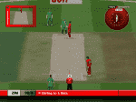 ZIm 20 overs.png