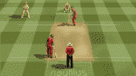 cricket-view.png