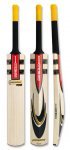 gray-nicolls-powerbow-1000-le-cricket-bat.jpg