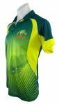 Australia t20 2014.jpg