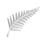 NZ 3D logo.png