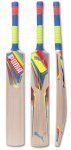 puma-evo-speed-EW-cricket-bat.jpg